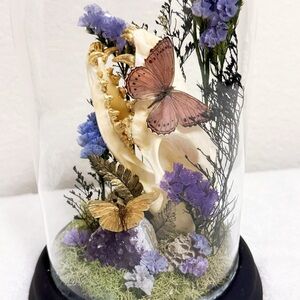 Fox Skull Butterfly Glass Dome Oddities Display Vintage Taxidermy Nature Decor
